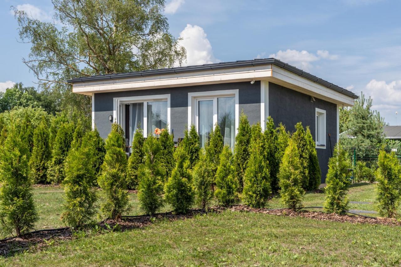 Вілла Family Garden House With Free Private Parking & Playground Рига Екстер'єр фото