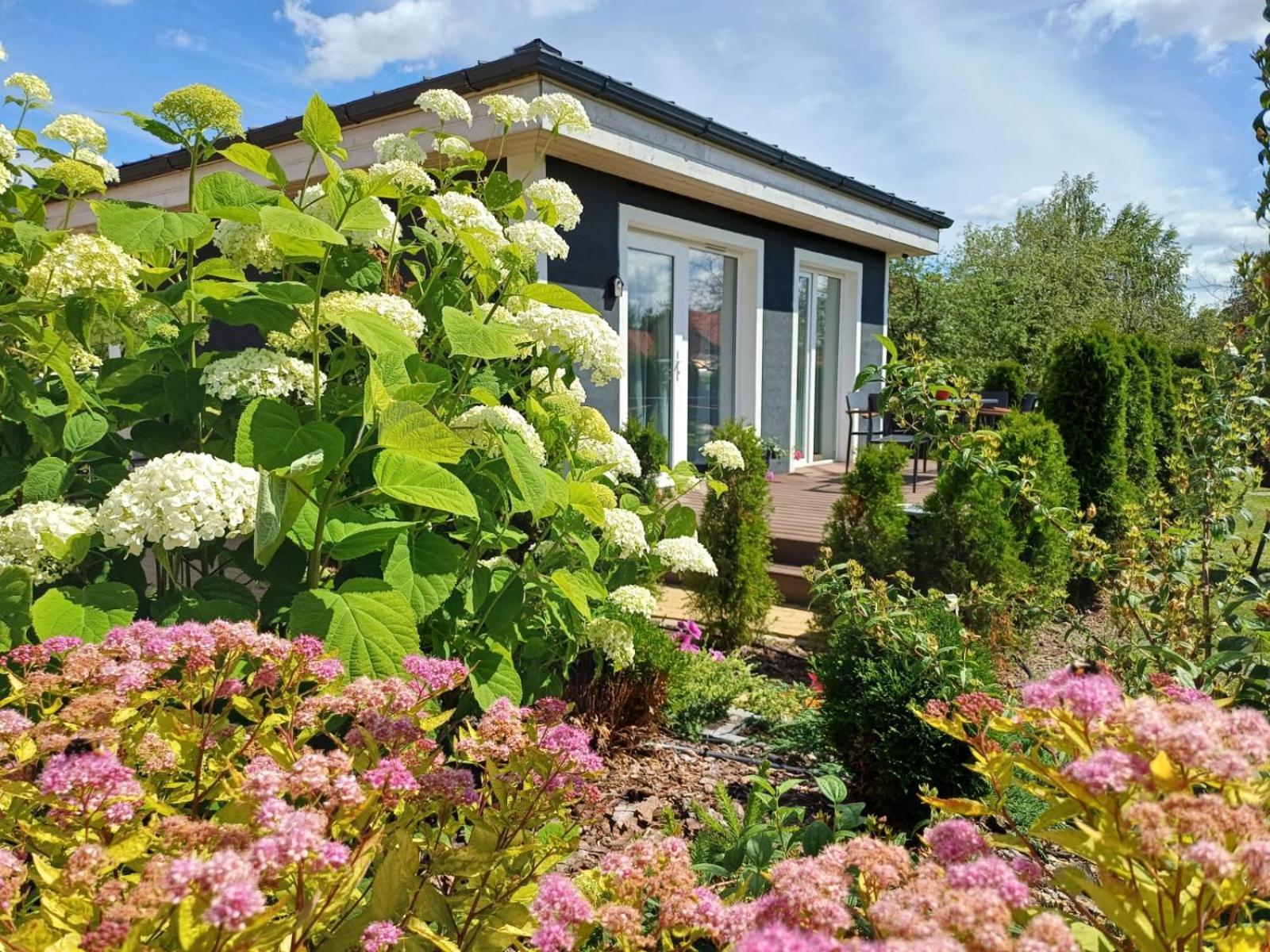 Вілла Family Garden House With Free Private Parking & Playground Рига Екстер'єр фото